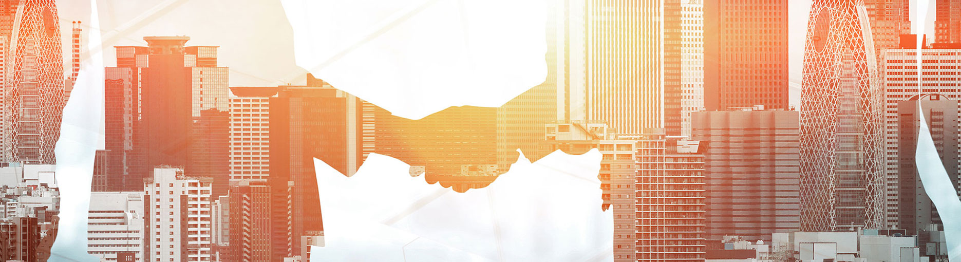 Strategic AI Partnership Strategic AI-Partnership with Chimaera